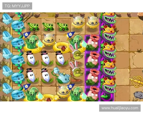 欧博手机版70丰富游戏种类，满足不同玩家的多样化娱乐需求